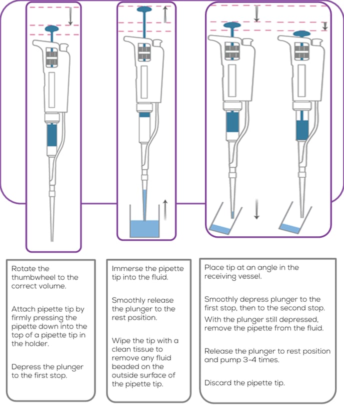 Forward Pipetting